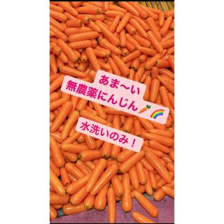 12.2日まで！あま〜い　採れたて　有機栽培　にんじん(野菜)