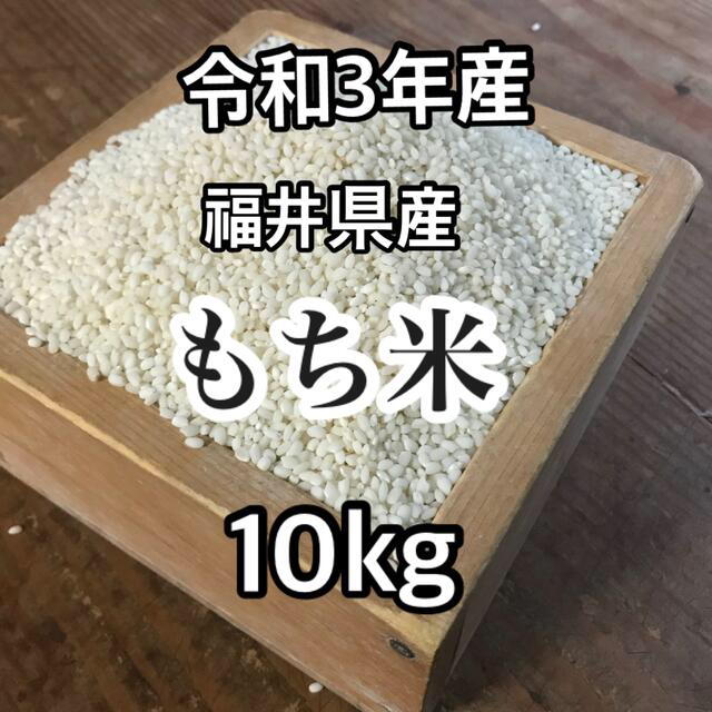 もち米　10kg　令和3年産　米/穀物　福井県産　減農薬