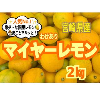 【訳あり】マイヤーレモン2㎏（送料込み）レモン　国産レモン　みかん　お試し品(フルーツ)