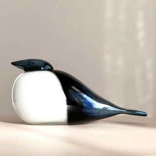 イッタラ(iittala)のSwift 2009年 500体限定 箱あり バード イッタラ オイバ・トイッカ(置物)