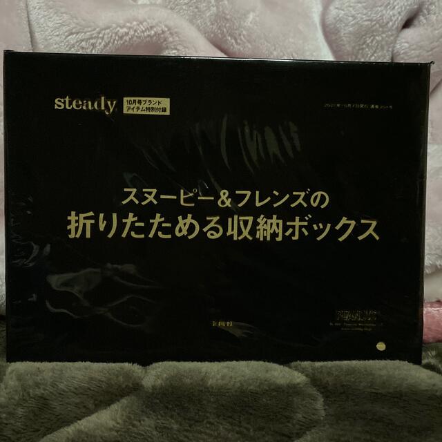 PEANUTS(ピーナッツ)のsteady 10月号　付録　スヌーピー　折りたためる収納ボックス インテリア/住まい/日用品のインテリア小物(小物入れ)の商品写真