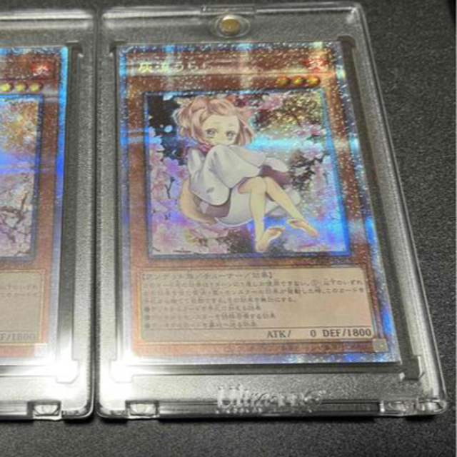 遊戯王 灰流うらら 絵違い プリズマ - シングルカード