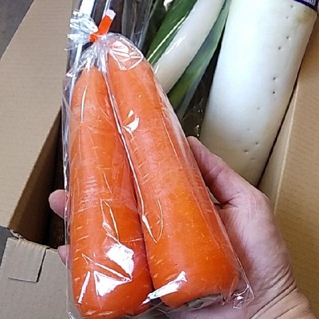 青森県産　野菜セット 食品/飲料/酒の食品(野菜)の商品写真