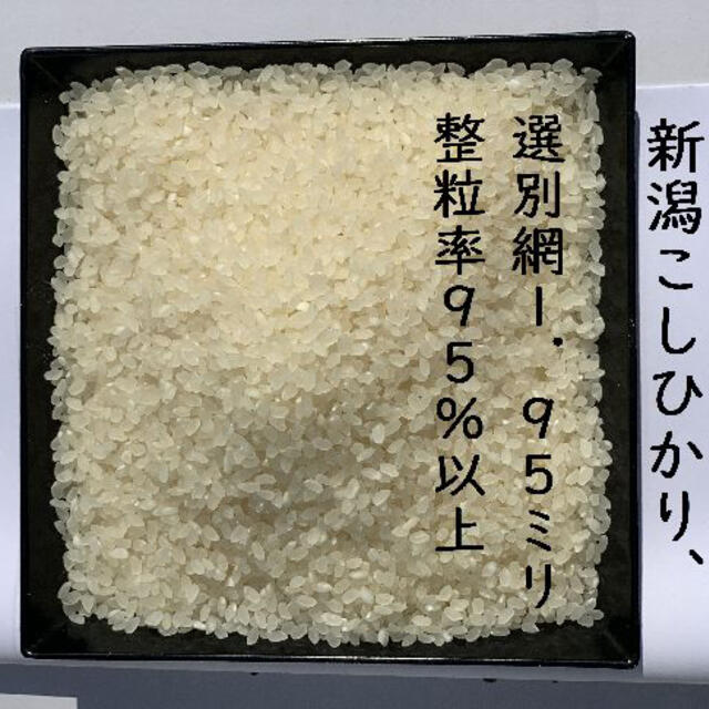 みずほの輝き　各5キロ　食べ比べ　17　新米・令和３年産　新潟コシヒカリ　新之助　米/穀物