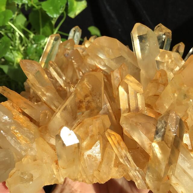 スター【爆レア‼️ 聖美‼️ 結晶】マニカラン産ヒマラヤ水晶 スター【爆レア‼️ 聖美‼️ 結晶】マニカラン産ヒマラヤ水晶