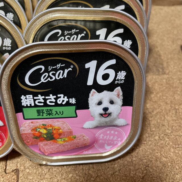 CASAR(シーザー)のシーザー　★くるみ★様専用 その他のペット用品(ペットフード)の商品写真