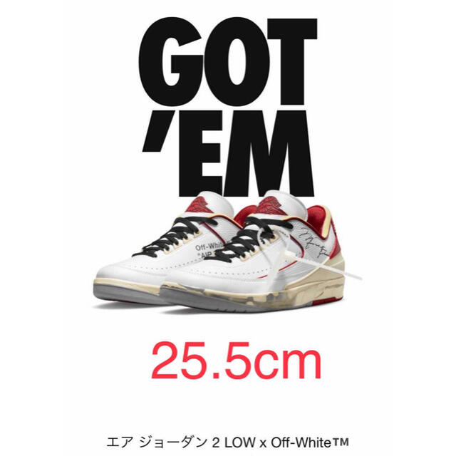 靴/シューズOff-White Nike Air Jordan 2 Low Red 25.5