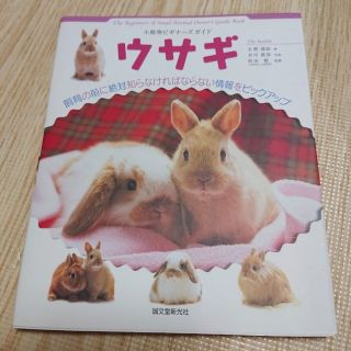 うさぎ 飼育本(住まい/暮らし/子育て)