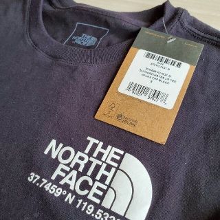 THE NORTH FACE - □海外限定モデル□激レア□ザノースフェイス 座標 ...