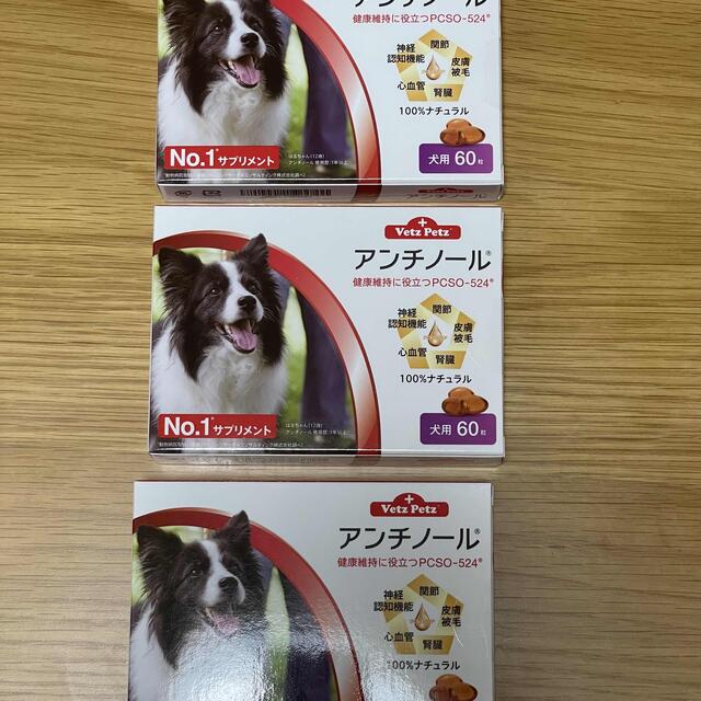 犬用アンチノール 60粒 3箱犬