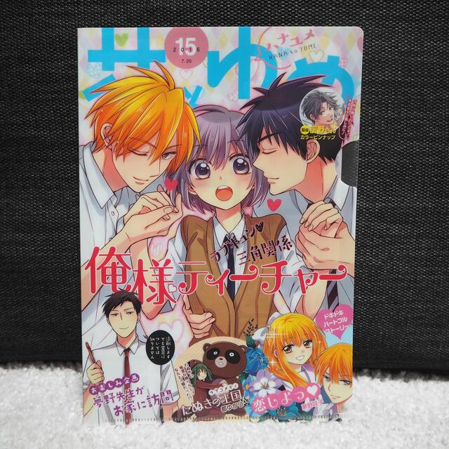 白泉社(ハクセンシャ)の俺様ティーチャー クリアファイル 2枚組 花とゆめ 付録 エンタメ/ホビーのアニメグッズ(クリアファイル)の商品写真