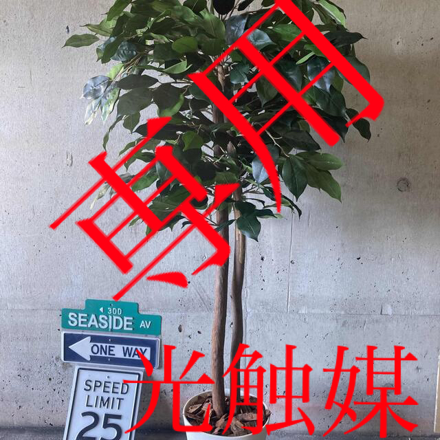 光触媒 人工観葉植物 ウォールグリーン フェイク アレンジ 光触媒 人工観葉植物 ウォールグリーン フェイク アレンジ