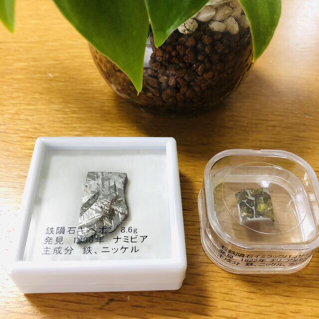 オマケ付き Bigbang銀座 超隕石 イミラックパラサイト ギベオン