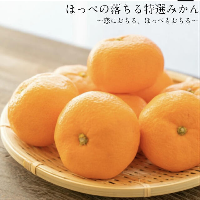 日本初の みかん様専用 cerkafor.com