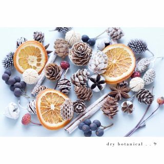 dry botanical / #26 木の実 クリスマス 花材  ハンドメイド(ドライフラワー)