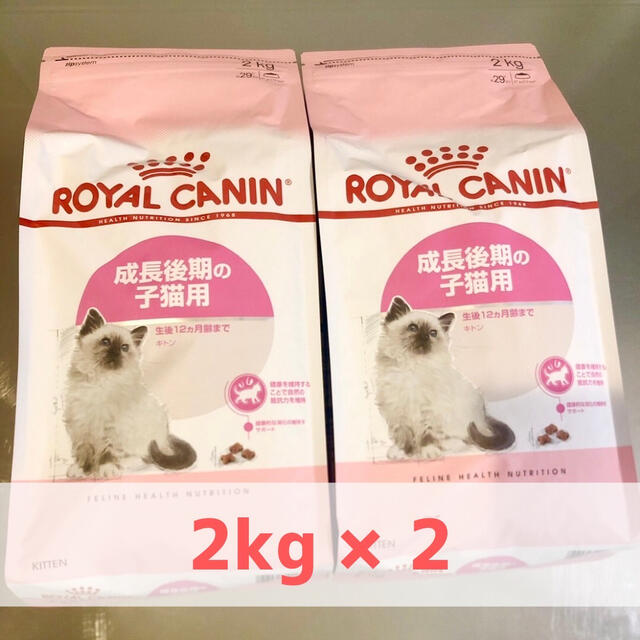 ロイヤルカナン キトン ROYAL CANIN 2kg×2袋セット 新品未開封