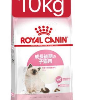 ROYAL CANINロイヤルカナン仔猫用成長後期用 鶏肉 七面鳥離乳食10kg(ペットフード)