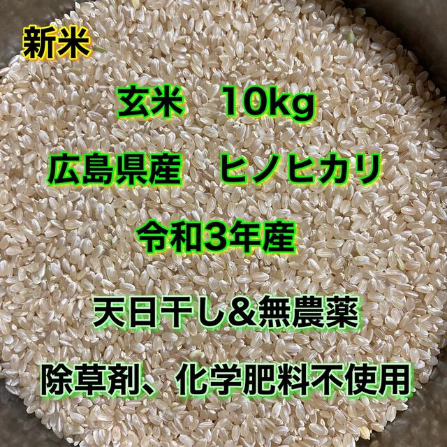 玄米10kg  無農薬　天日干し食品/飲料/酒