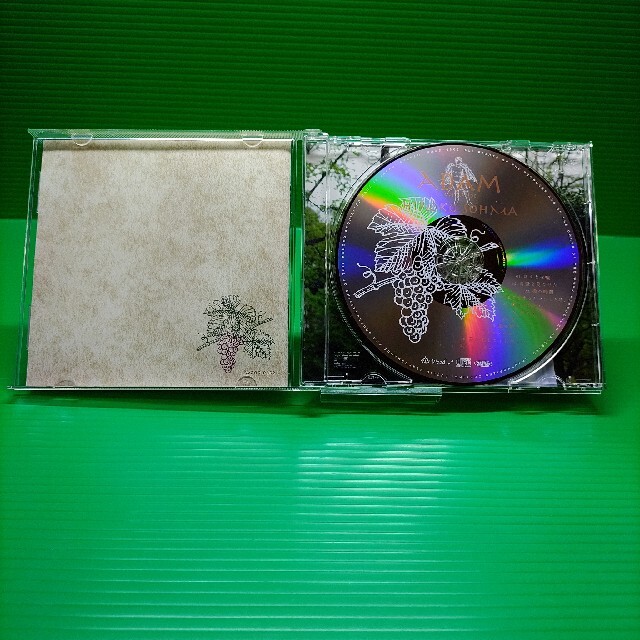 現在出品中のロック系アイテム【激レア】トランスレコード 非売品CD YBO2 北村昌士 割礼 ZOA