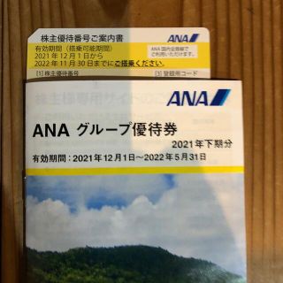 エーエヌエー(ゼンニッポンクウユ)(ANA(全日本空輸))の全日空株主優待券22.11.30迄(その他)