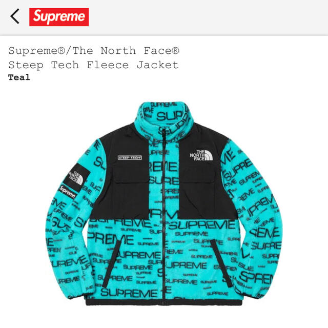 supreme the  north face fleece XL