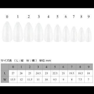 ネイルチップ☆ No.210 コスメ/美容のネイル(つけ爪/ネイルチップ)の商品写真