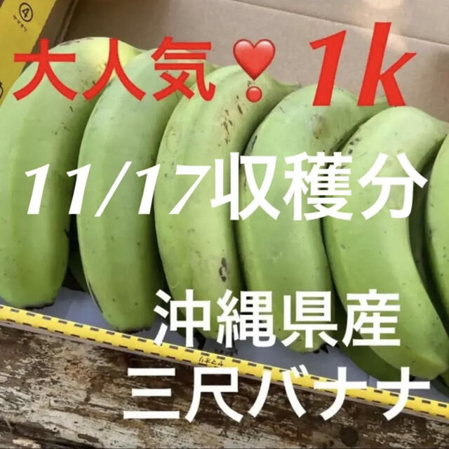 ②大人気❣️無農薬✨沖縄県産三尺バナナ(台湾系島バナナ)✨1キロ分✅11/17 食品/飲料/酒の食品(フルーツ)の商品写真