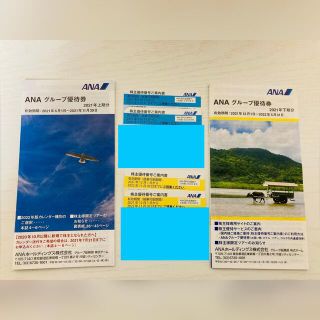 エーエヌエー(ゼンニッポンクウユ)(ANA(全日本空輸))のANA 株主優待　4枚　グループ優待券2冊(その他)