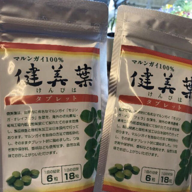 健美葉(マルンガイ)】タブレット2袋セット - 健康食品 健美葉(マルンガイ)】タブレット2袋セット - 健康食品