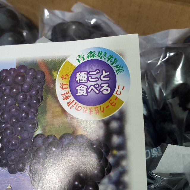 最後のブドウは、とっても甘い。噛んではダメ。飲み込んで。青森県産「スチューベン」 食品/飲料/酒の食品(フルーツ)の商品写真