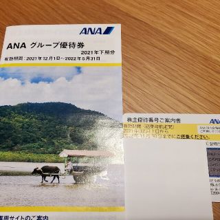 エーエヌエー(ゼンニッポンクウユ)(ANA(全日本空輸))のANA 株主優待(その他)