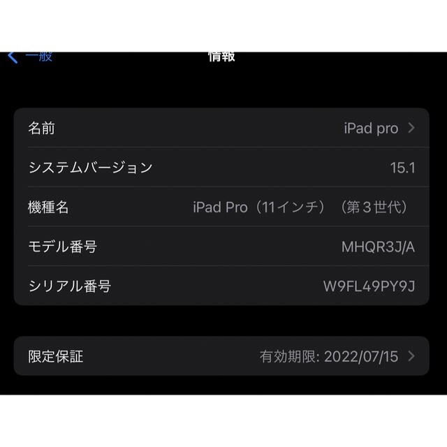 ネット通販激安 iPad Pro 11インチ 第3世代 128GB Wi-Fi スペースグレー