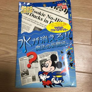 ディズニー(Disney)のディズニー　マジック(その他)