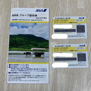 エーエヌエー(ゼンニッポンクウユ)(ANA(全日本空輸))のANA 株主優待券(ショッピング)