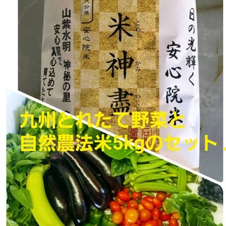 無農薬野菜と自然農法米セット(野菜)