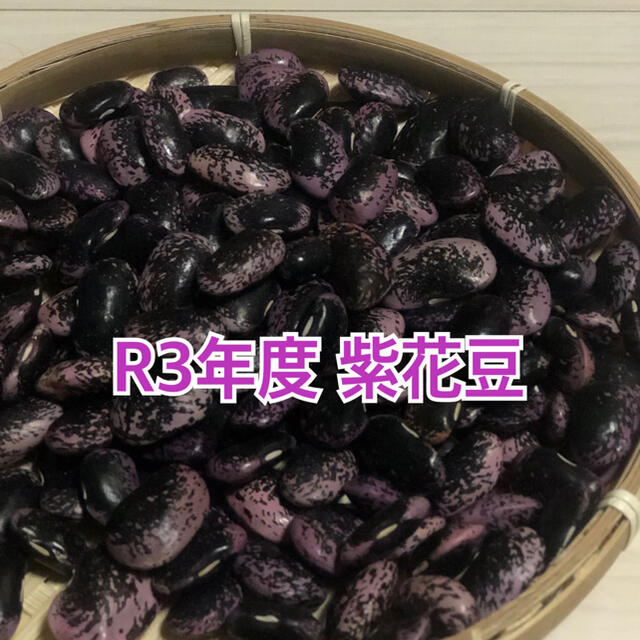 北海道岩見沢産　紫花豆 食品/飲料/酒の食品(野菜)の商品写真