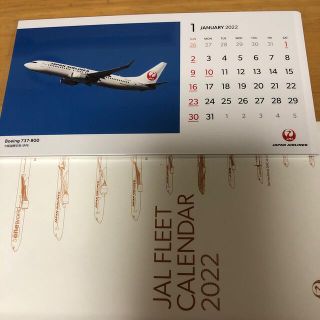 ジャル(ニホンコウクウ)(JAL(日本航空))のJALカレンダー　2022年(カレンダー/スケジュール)