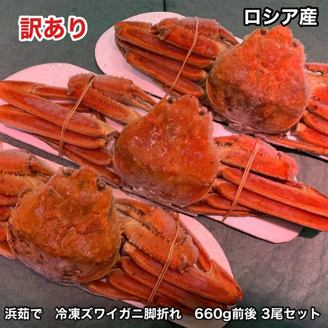 訳あり品　浜茹で　冷凍ズワイガニ脚折れ　660g前後 3尾セット