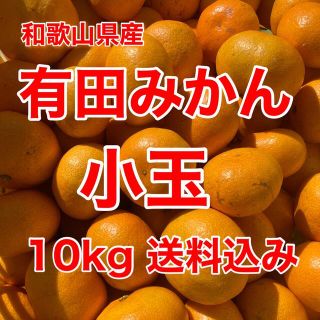 有田みかん🍊小玉🍊10㎏🍊家庭用🍊送料込み(フルーツ)