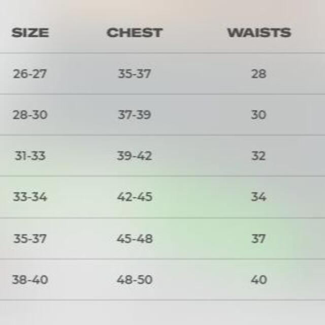 SALE送料無料 日本未入荷 31の通販 by mmar's|ラクマ *ALPHALETE* タイタンボードショート 限定20%OFF