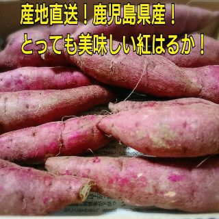 産地直送！鹿児島県産紅はるか約1㎏(野菜)