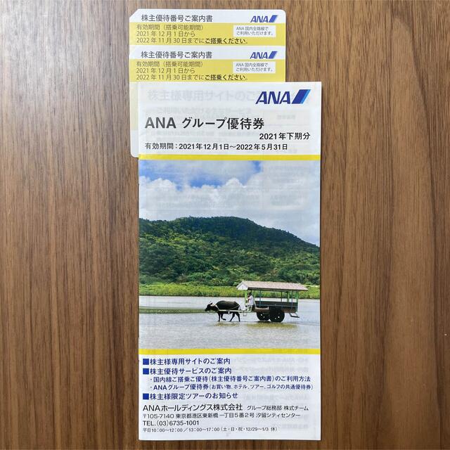 ANA 株主優待券 2枚、冊子セット - kktspineuae.com