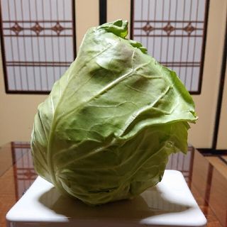 ms_ss_loさん専用✳️野菜セット✳️(野菜)