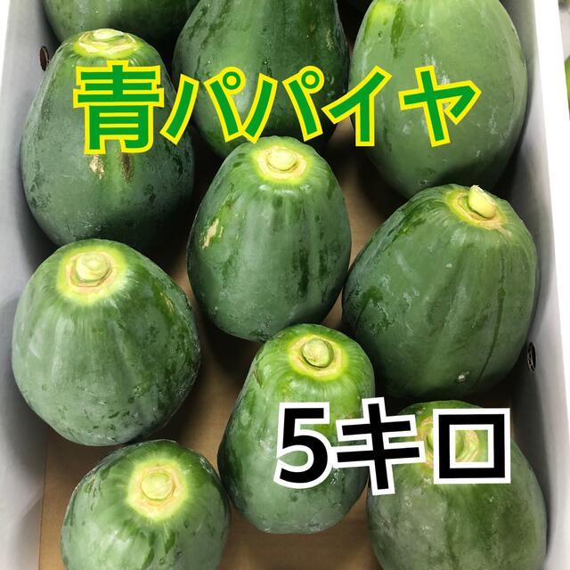 青パパイヤ　5キロ　12個 食品/飲料/酒の食品(野菜)の商品写真