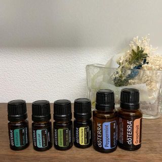 ドテラ エッセンシャルオイル doTERRA グレープフルーツ　ペパーミント(エッセンシャルオイル（精油）)