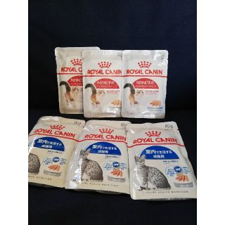 ロイヤルカナン(ROYAL CANIN)のロイヤルカナン　猫用ウェットフード　６袋セット(ペットフード)