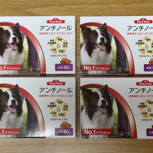 犬用アンチノール 60粒 4箱