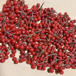 赤い実 アロニア 茎付き 花材 ドライフラワー 生花 パーツ 木ノ実 リース(各種パーツ)
