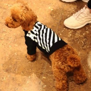 新品　DINZUO 犬服 ペット服(犬)