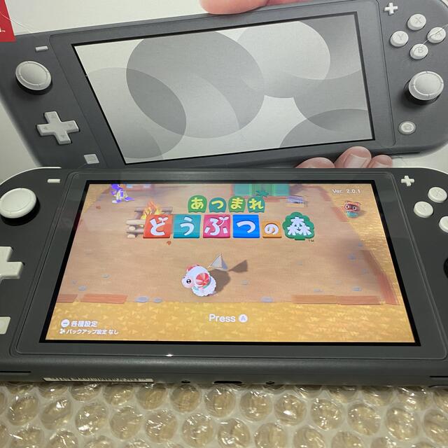 Nintendo Switch Liteグレー 7